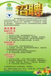 农业招聘海报
