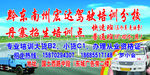 驾校培训