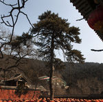 龙泉寺