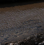 水波纹