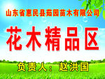 苗木背景