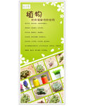 盆栽植物展架
