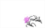 牵牛花