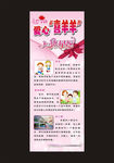 心语星愿