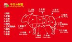 超市牛肉分解图
