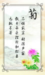 梅兰竹菊图片