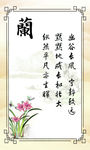 梅兰竹菊图片