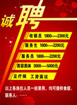 招聘  诚聘