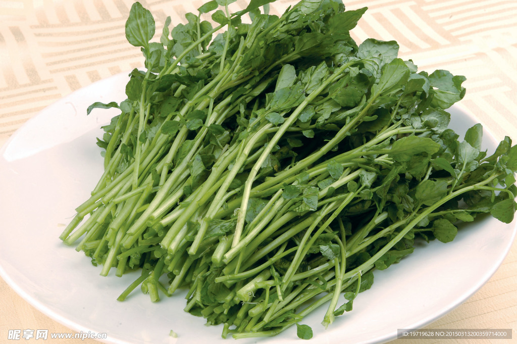 西洋菜