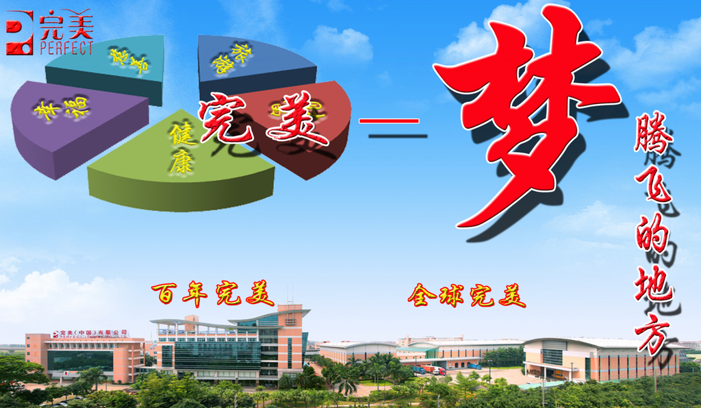 完美之梦
