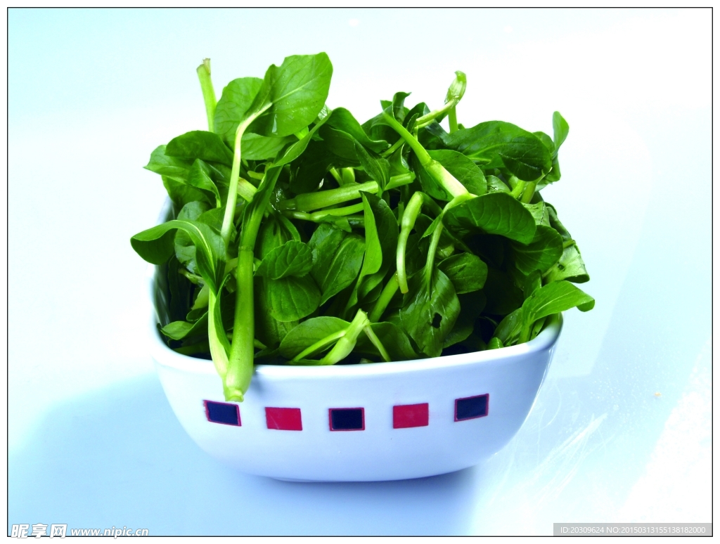 鸡毛菜