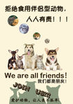 保护动物宣传单