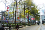 深圳街景风光