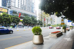 深圳街景风光