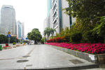 深圳街景风光