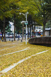 深圳街景风光
