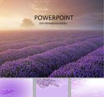 鲜花PPT