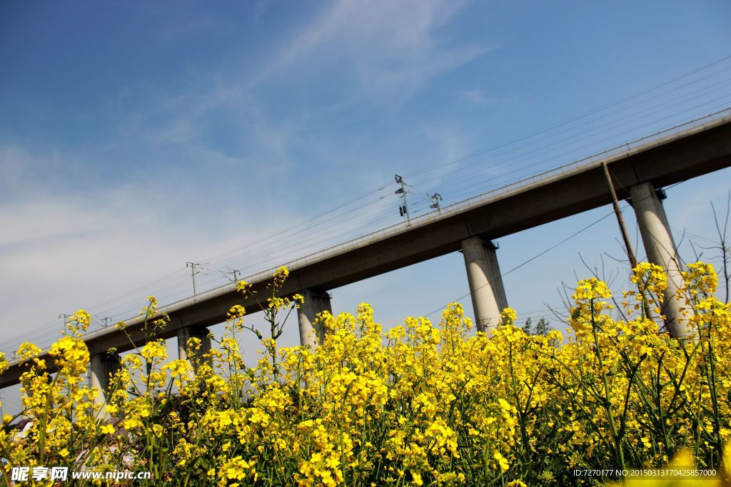 春季高铁路