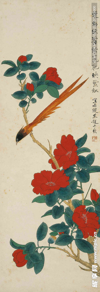 赤绶