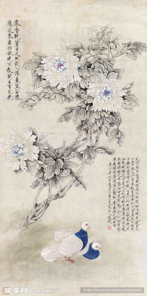 和平鸽
