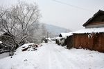 雪景