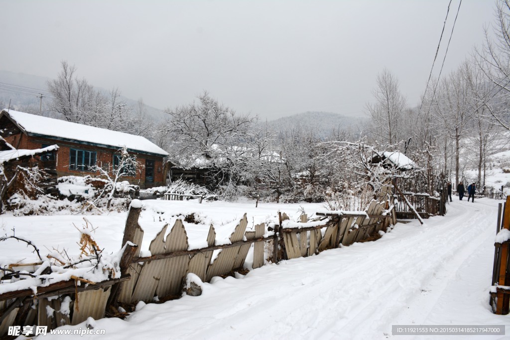 雪景