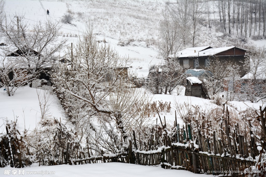 雪景