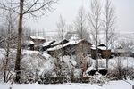 雪景