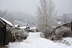 雪景