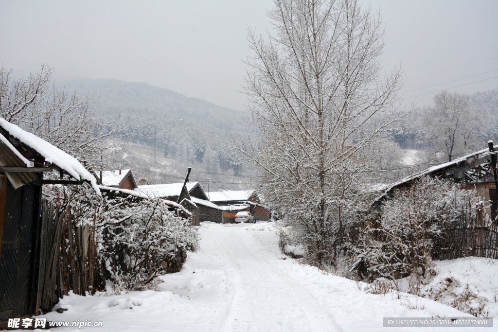 雪景