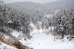 雪景