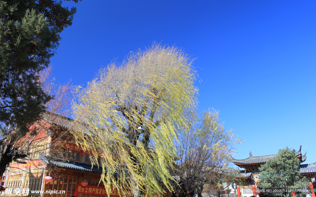 丽江天空