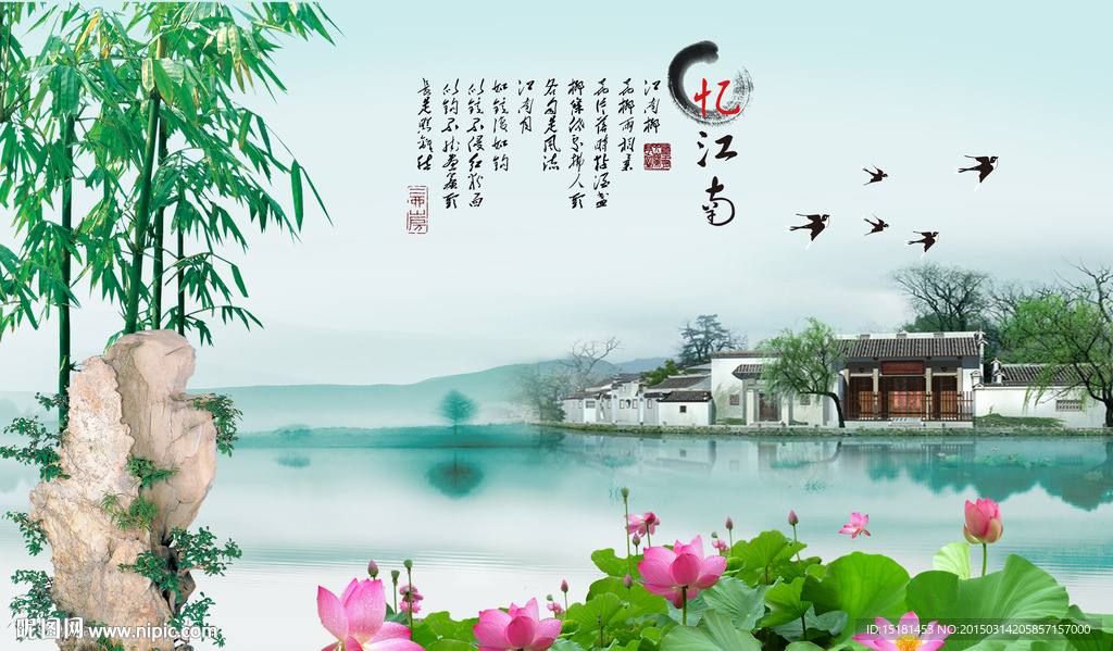 荷花风景