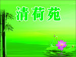 荷花竹背景