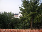 农村风景