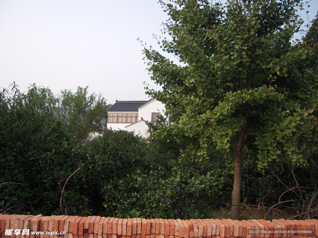 农村风景