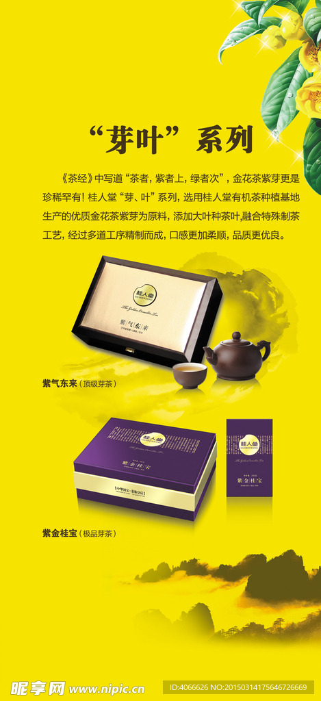 桂人堂芽叶系列