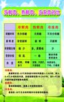 冷鲜肉对比