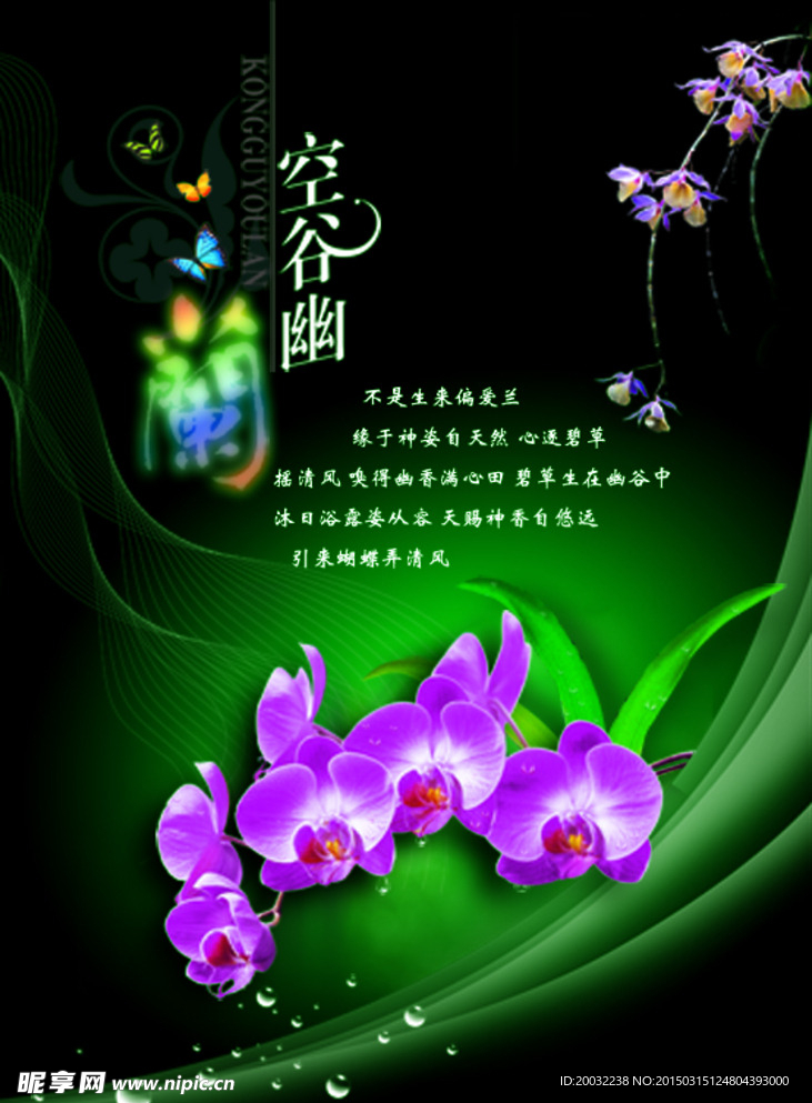 兰花