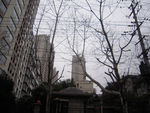 小区风景