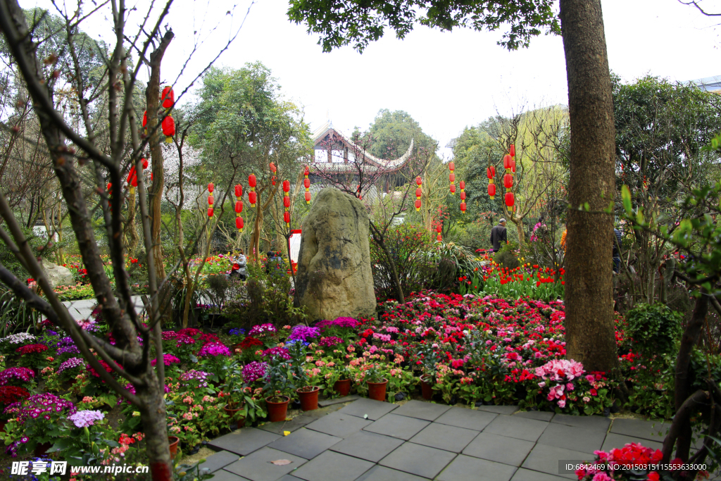 花圃