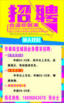 招聘