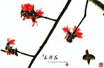 木棉花
