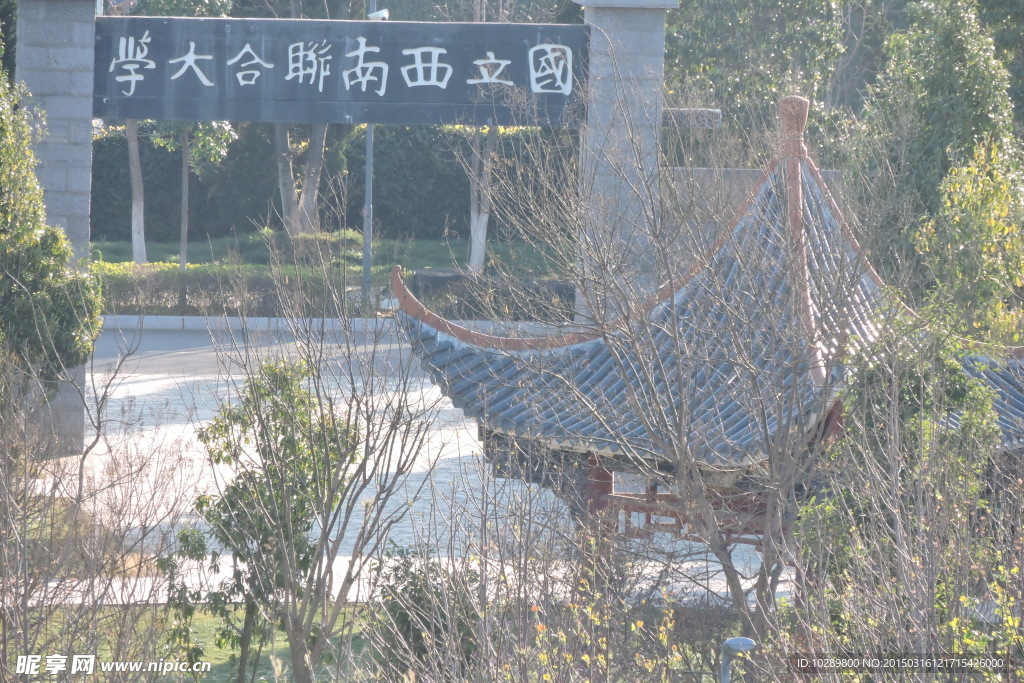 西南联合大学