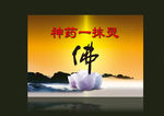 佛光