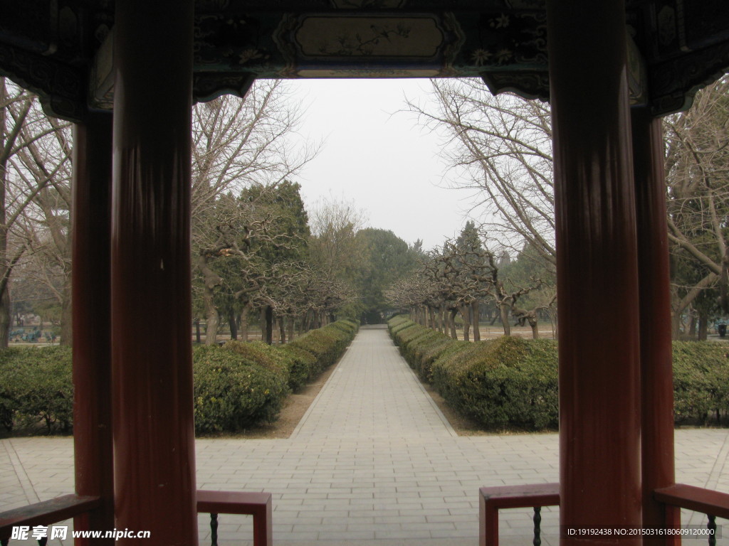 林荫道