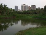 景观园林