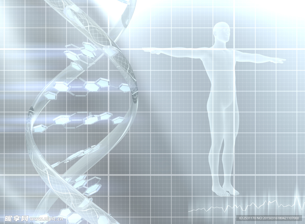 基因DNA