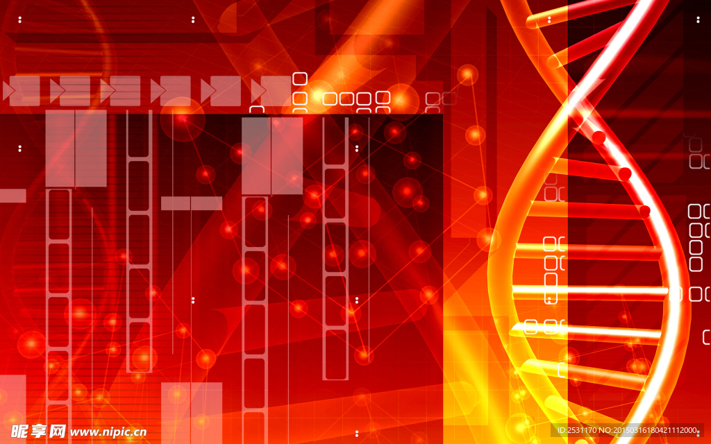 基因DNA