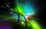 基因DNA